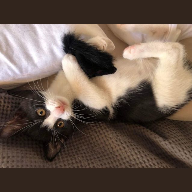 Photo of Augustus (Gus)