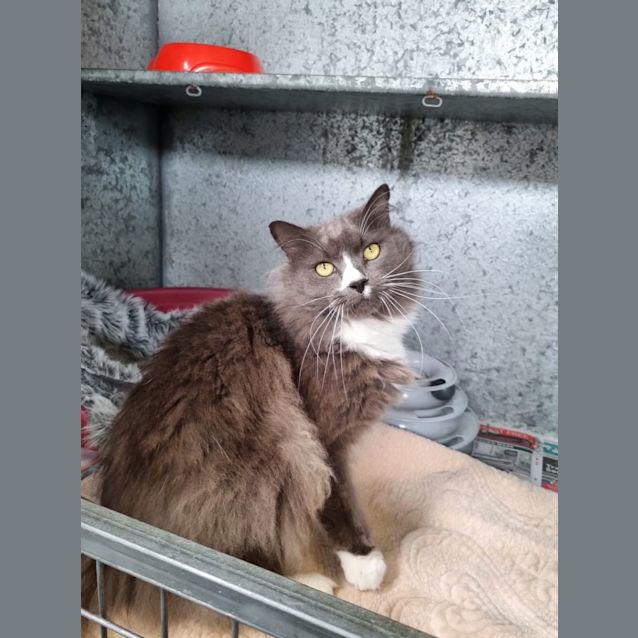 Photo of Buddy