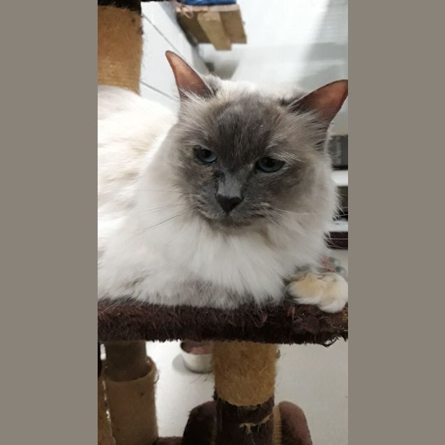 Photo of Missy