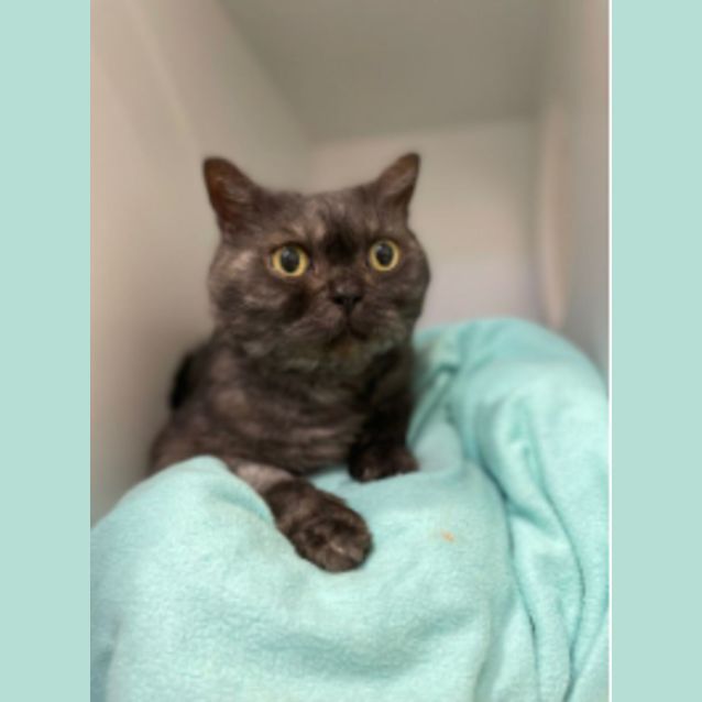 Photo of Buddy