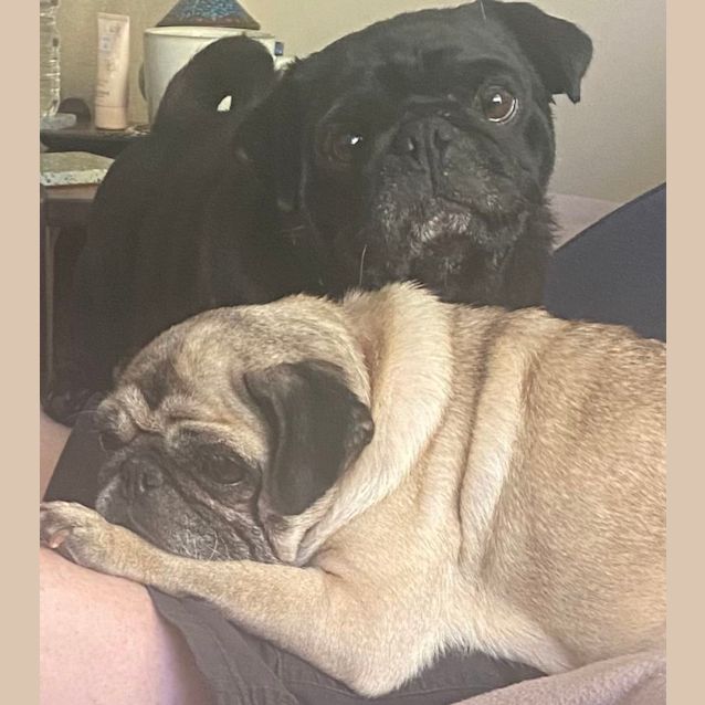 Photo of Meg And Wally 