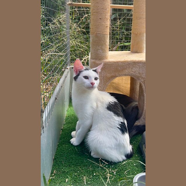 Photo of Gretel