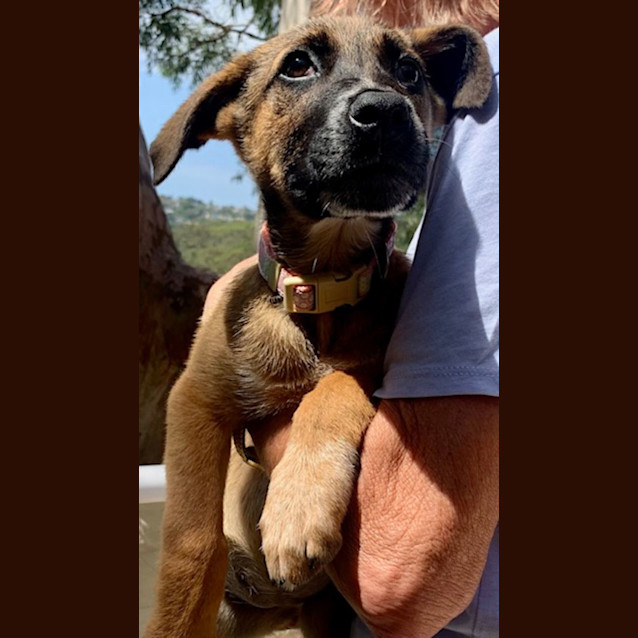 Photo of Hailey 