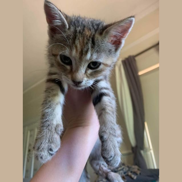 Photo of Matilda 'Tilly'