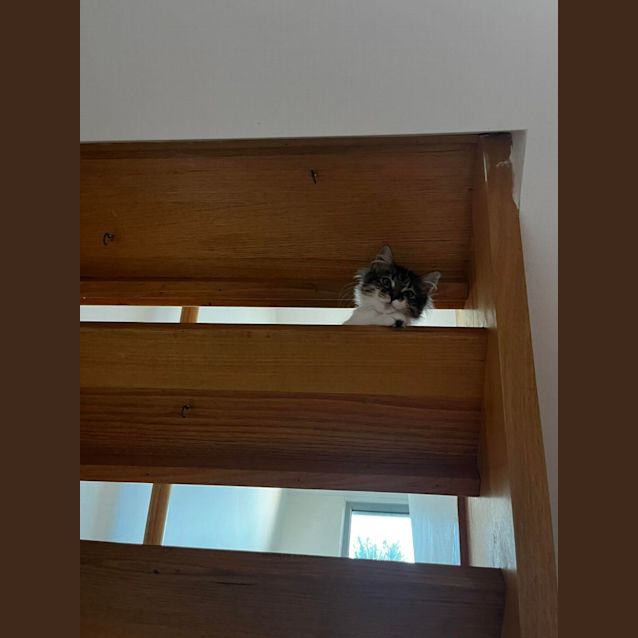 Photo of Bob