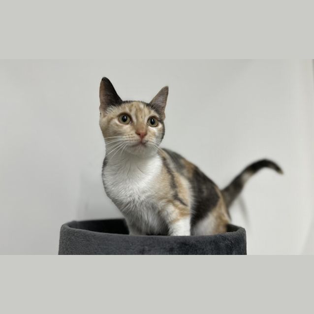 Photo of Maisy
