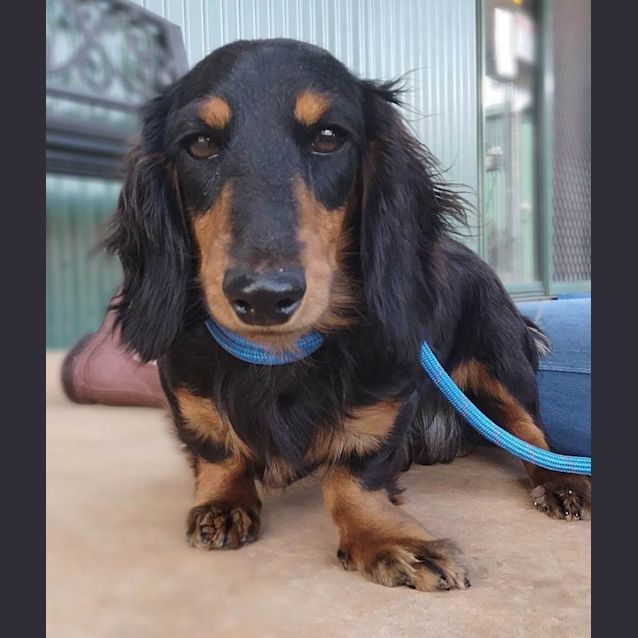 Photo of Shirley
