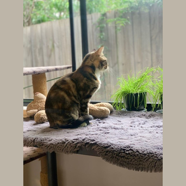 Photo of Maisey
