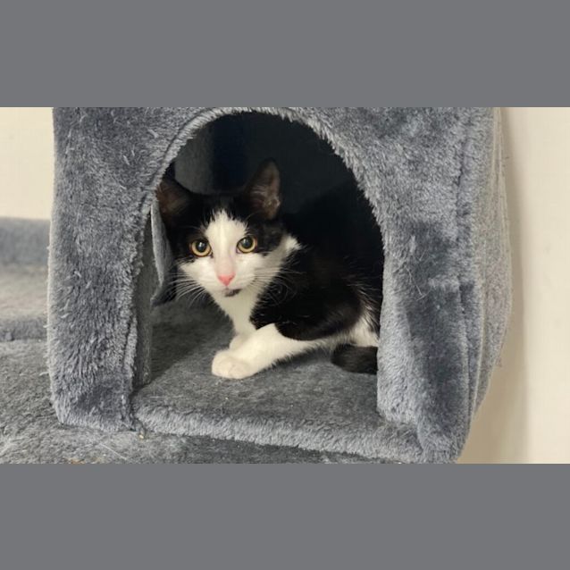 Photo of Luna