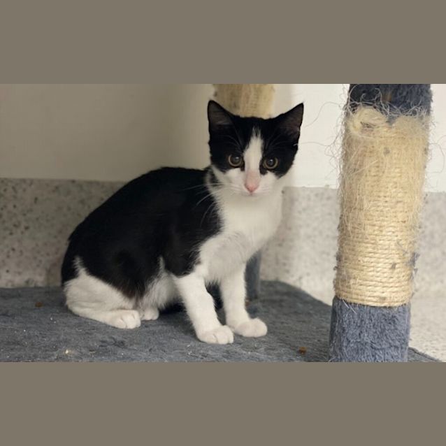 Photo of Lucifer