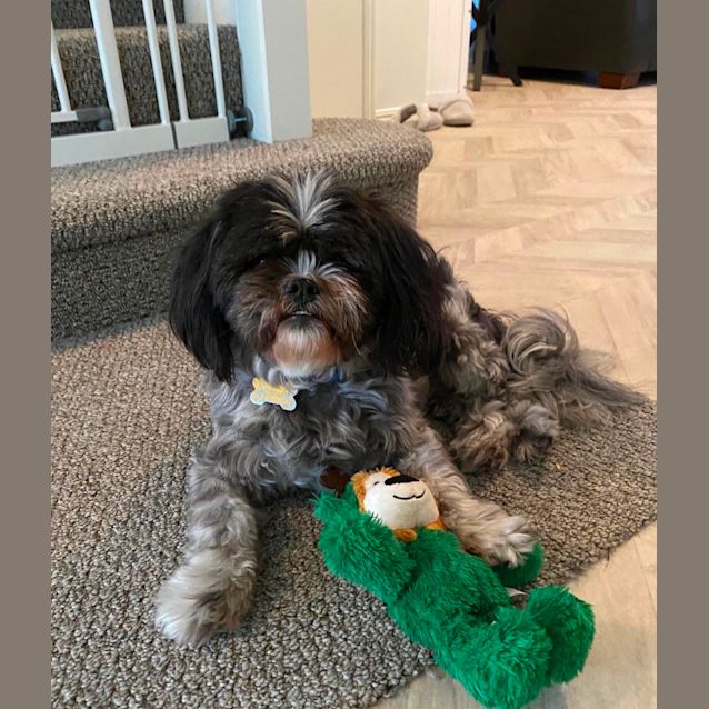 Photo of Scooter & Toby