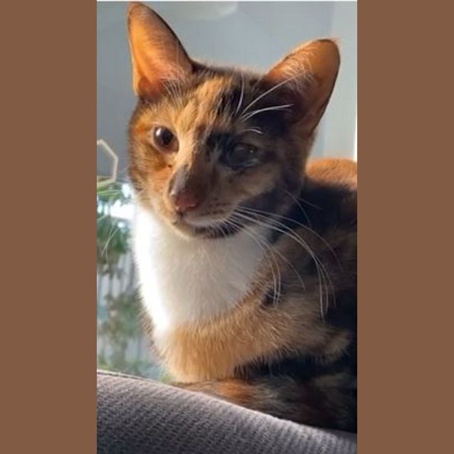 Photo of Frankie