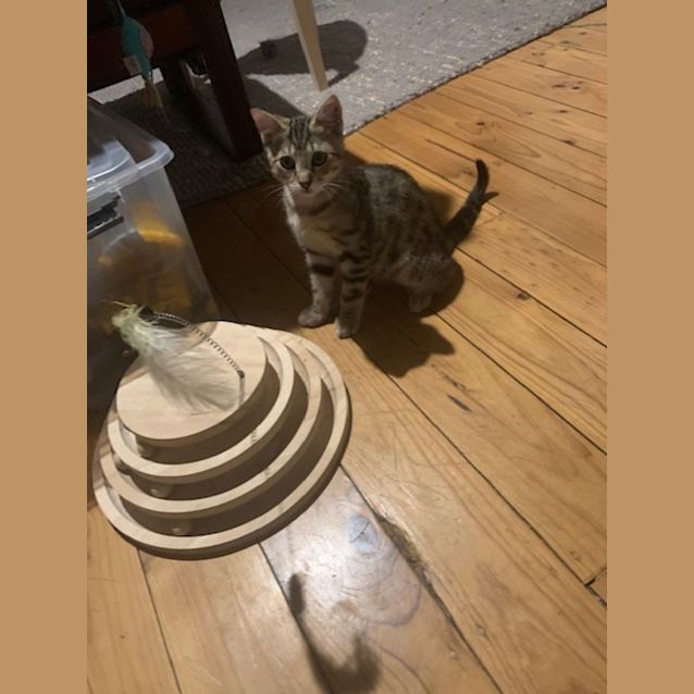 Photo of Sweet Stuart