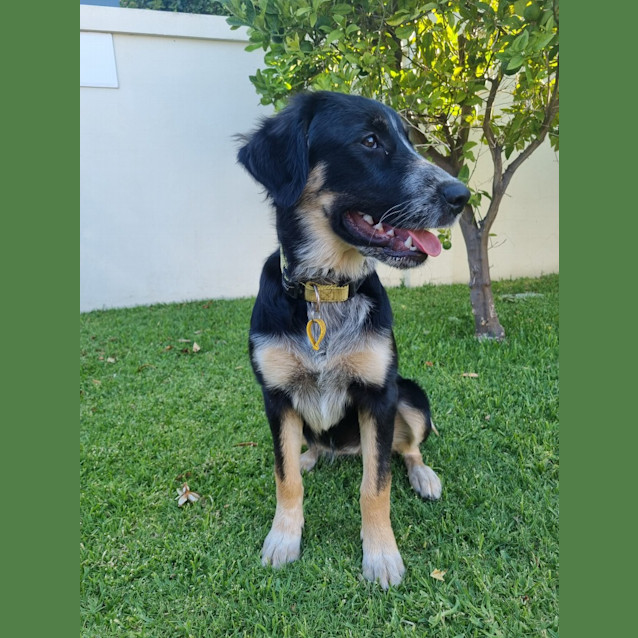 Photo of Darla