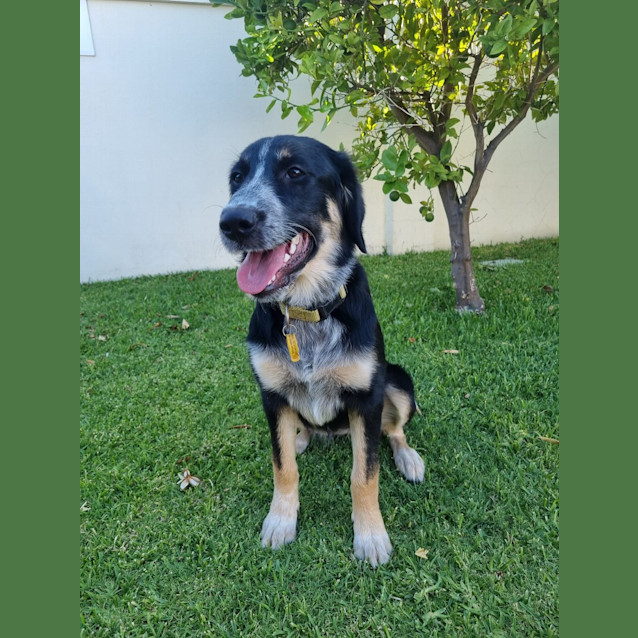 Photo of Darla