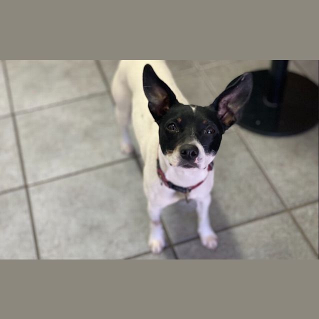 Photo of Gertrude