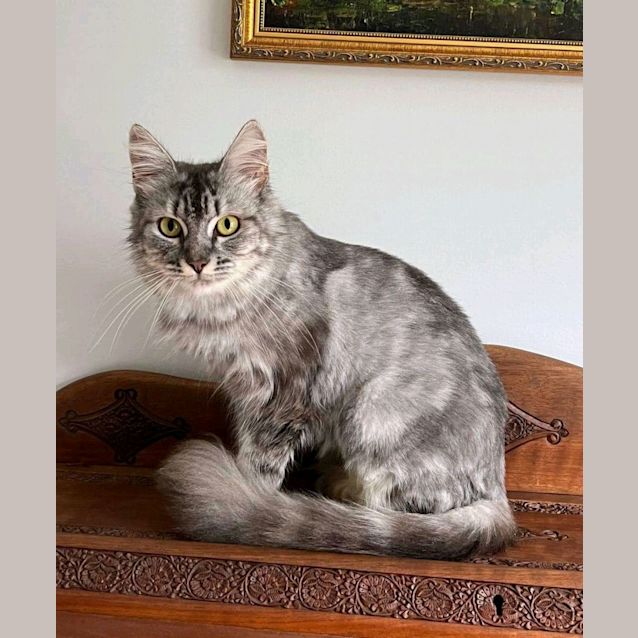 Photo of Artemis