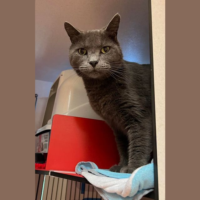 Photo of Gus