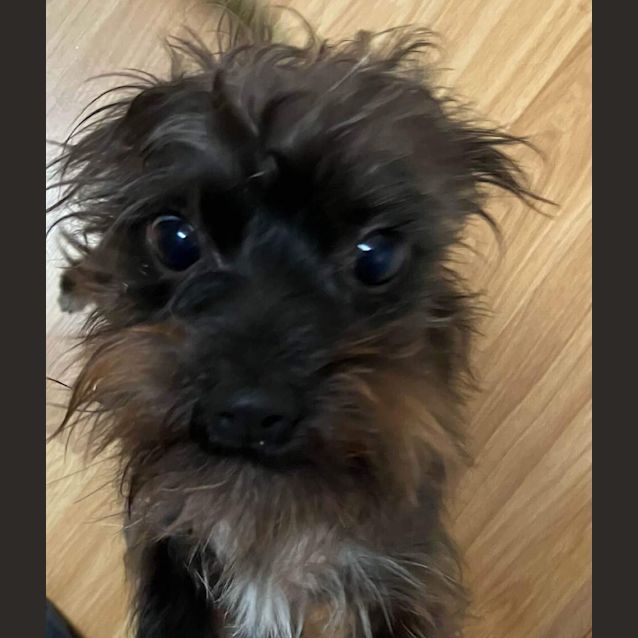 Photo of Flynn