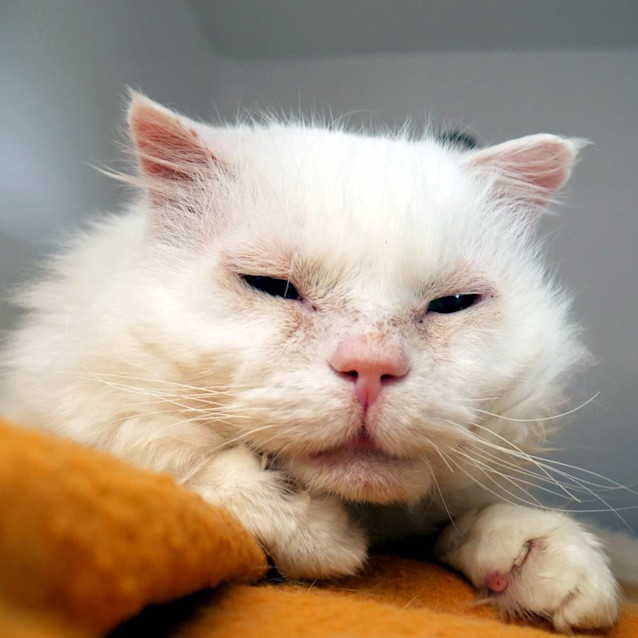 Photo of Wilson Sta010556