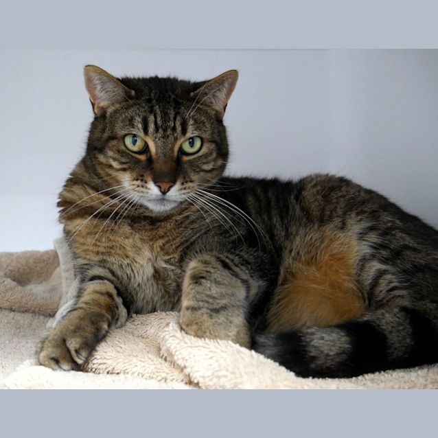 Photo of Tango Sua010708