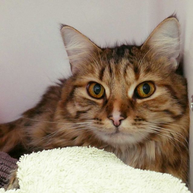 Photo of Bo Sua010931