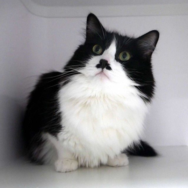 Photo of Jack Rsua010810