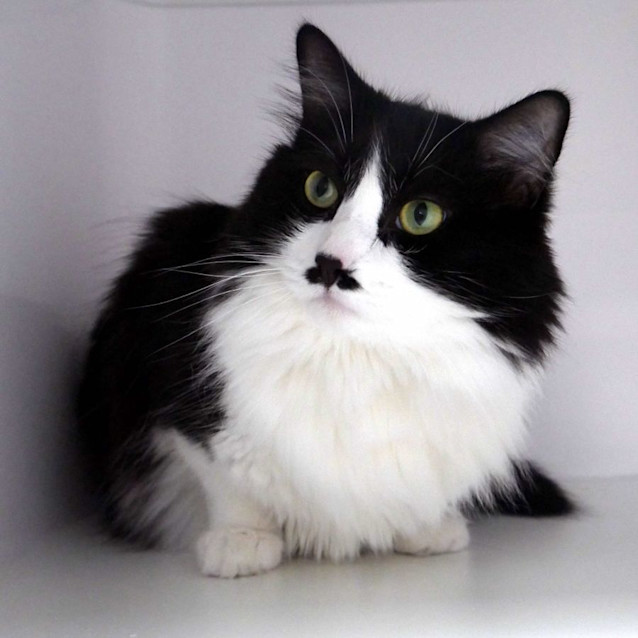 Photo of Jack Rsua010810