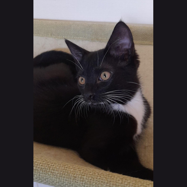 Photo of Zaylee