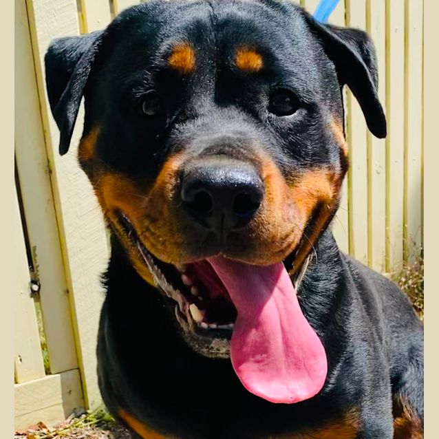 Photo of Axel