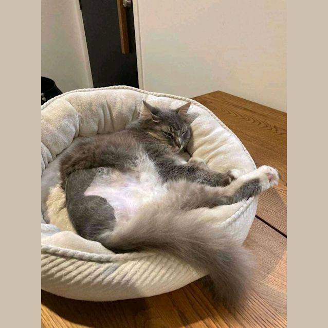 Photo of Meeka