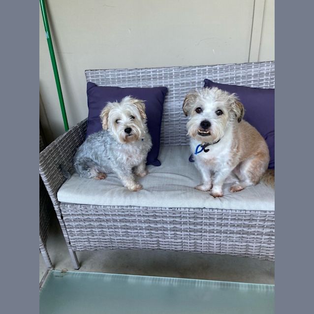 Photo of Emmitt And Howie