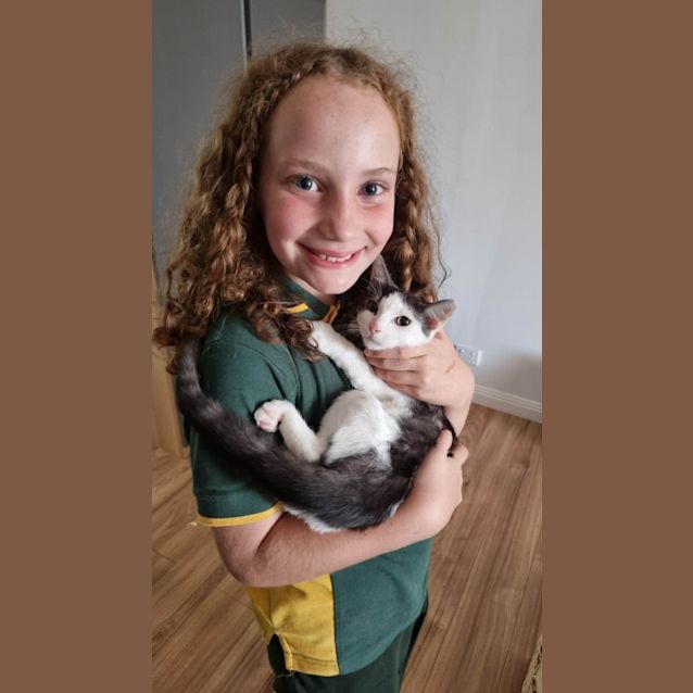 Photo of Blackcurrant