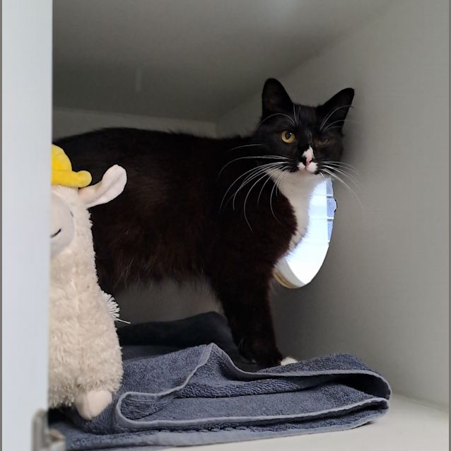 Photo of Ripley 