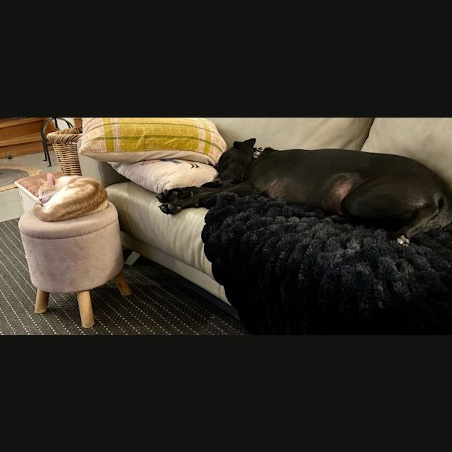 Photo of Lottie & Leo 