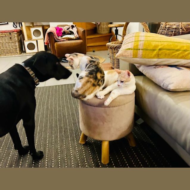 Photo of Lottie & Leo 