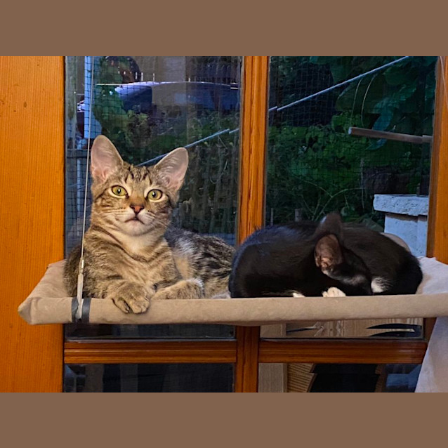 Photo of Fred Catstaire