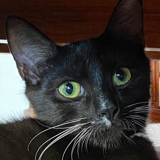 Photo of Fred Catstaire