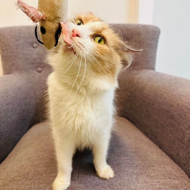 Photo of Tiffany (Located In Preston) 