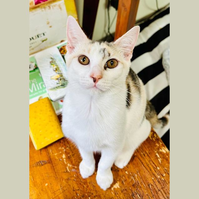 Photo of Lottie & Leo 