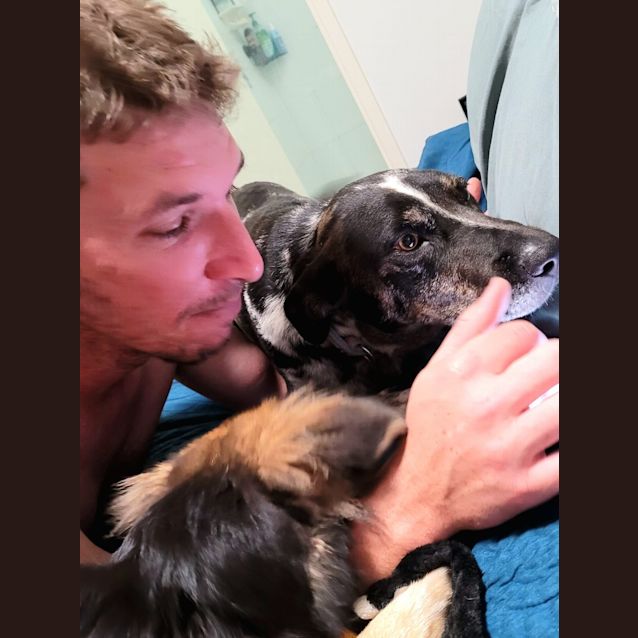 Photo of Charlie Dog