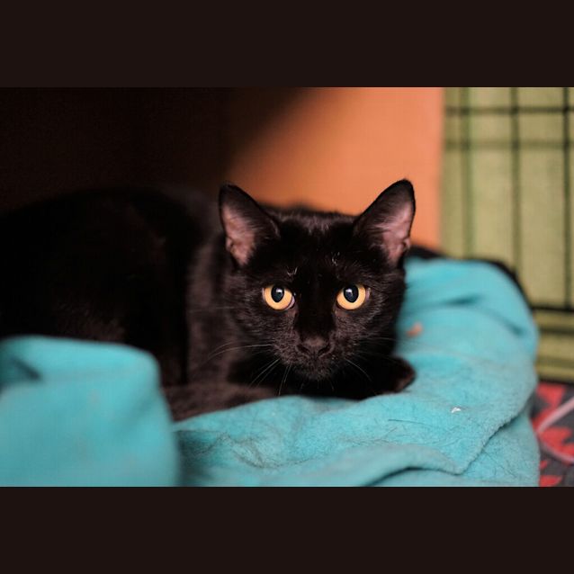 Photo of Lily