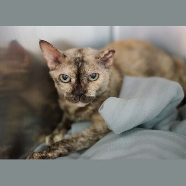 Photo of Mabel 