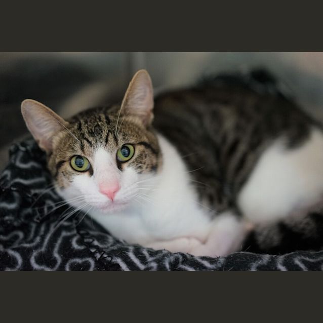 Photo of Cassidy