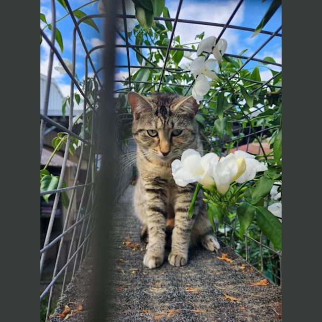 Photo of Emma
