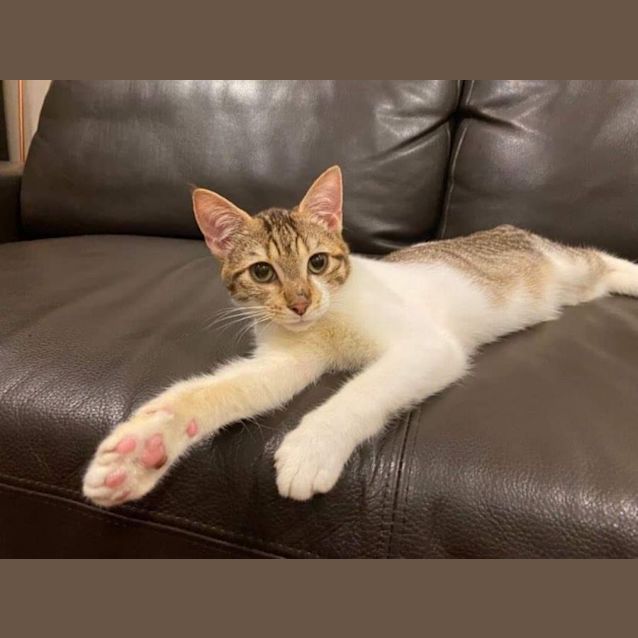 Photo of Frankie And Charlie