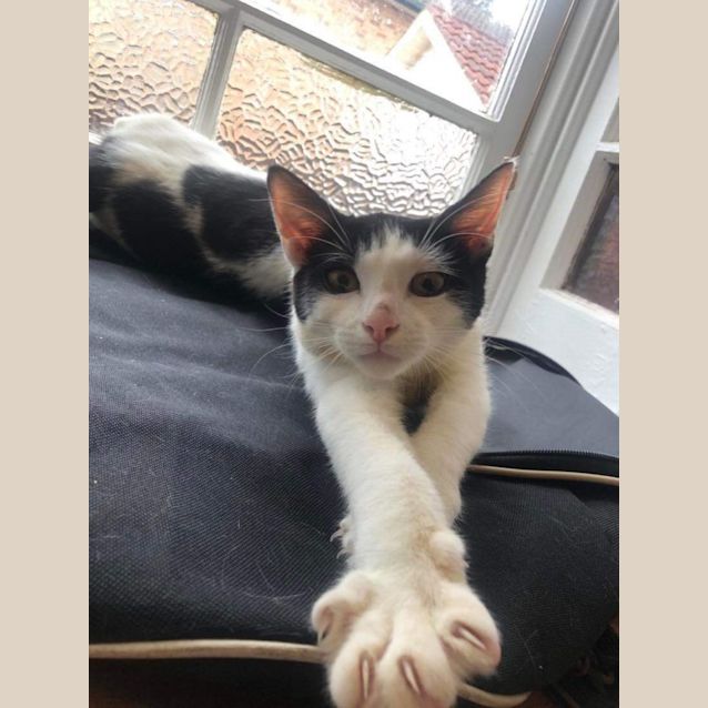 Photo of Frankie And Charlie