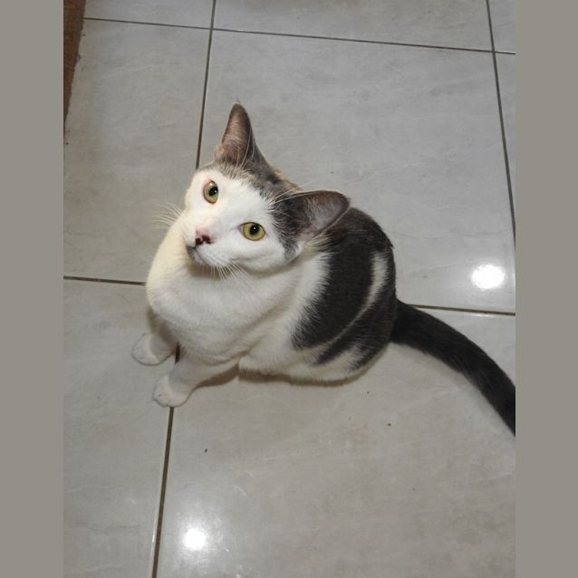 Photo of Scully