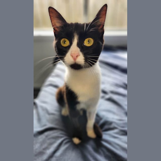 Photo of Sandy
