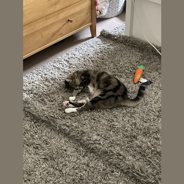Photo of Grandma Tiddles